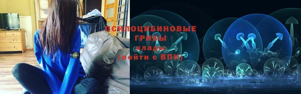 гидропоника Бикин