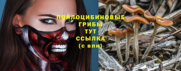 ешки Михайловск