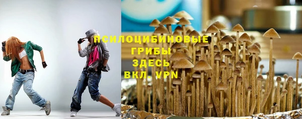 ешки Михайловск