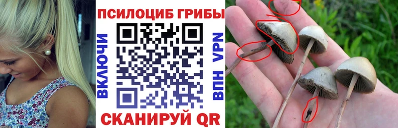 Галлюциногенные грибы Magic Shrooms  закладка  Щигры 